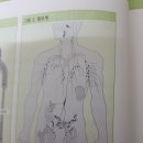 더조은한방병원 이미지