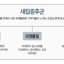 새라돈가스 네이버블로그