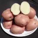 서홍이네