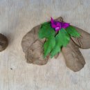 창원상남초등학교 이미지