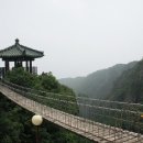 김천공용버스터미널 이미지