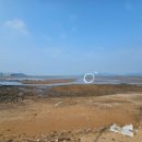 달산포어촌계 체험어장 네이버블로그