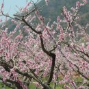 일영3리 | 오인교의 전라도누정기행(122)-금산군 탄서정(歎逝亭)