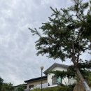 학골사랑방 이미지