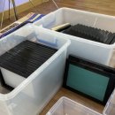 남창초등학교 이미지