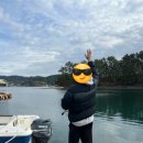 안녕 칠천도 이미지