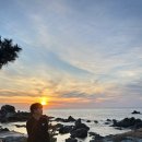 경북대학교 이미지