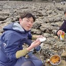 황금통발