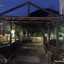 통큰생오리세상 이미지