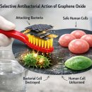 J.H.태권도 이미지