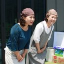놀숲농원 네이버블로그