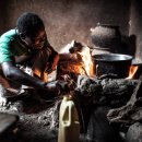 바이오프로젝트 이미지