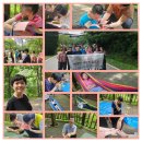 2025. 7. 4. - 숲에서 산림치유(장동산림욕장)과 잡트레이닝 이미지