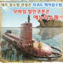 (주)제주해적잠수함 이미지