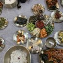 도립애경사났네