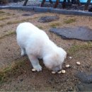 호숫가 펜션 이미지