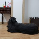 경이로운상사