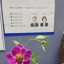 명인 행정사 사무소 이미지