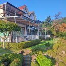 하늘보라 이미지