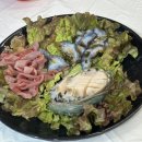 갈성 | [속초 맛집] 대포항 수산시장 ‘C동 9호’ 갈성활어 솔직 후기