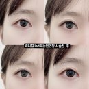워니컬 | 신당 속눈썹 LED속눈썹연장 워니컬 찐후기