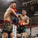 경희대BURN800복싱 이미지