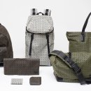 바오바오 이미지