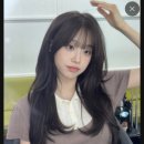 디레이어드