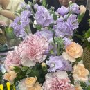 푸른꽃방 이미지