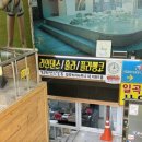 희희살롱