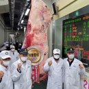 푸른한우농장 이미지