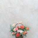 꽃채화의정부 이미지