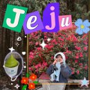팀엑슬 | [2박3일 제주] Hip하고 Hop한 1월 반 뚜벅이 가족여행
