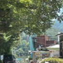 비원식당 | 가평 청평 맛집 대성리역 비원식당 닭다리탕 감자전 후기