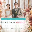 더 스위트타이 이미지