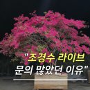 꽃과나무꾼 - 성남시 분당구 대왕판교로 412 | 조경수 나무꾼 경매장, 직접 보고 구매한 이유
