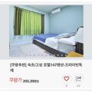 로젤 147 티스토리