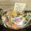 플레로세 네이버블로그