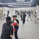 SY 주짓수&복싱 이미지