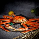 영덕대게 이미지