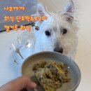 멍뭉까까 이미지