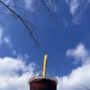 시영다방 이미지