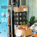 가나청과 - 해운대구 반송순환로 195-1 | 가나청과