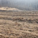 천천농장 이미지