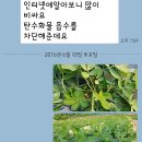 믿음농장 이미지