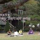 개스트하우스 이미지
