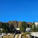 대곡면-5 | [진주맛집/진주대곡면카페] 폐교를 카페로 꾸민 대곡면 빛마루 카페