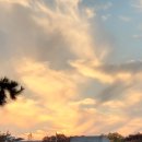 자연은동물병원 이미지