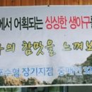 양포생아구찜해물탕 이미지