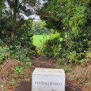 인터-죤 이미지